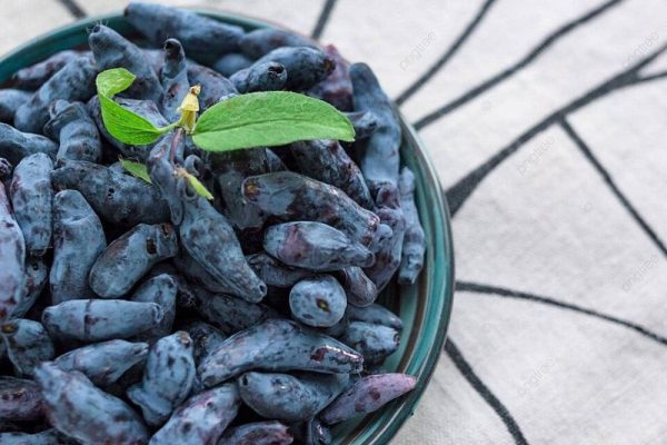 Honeyberry nutrition