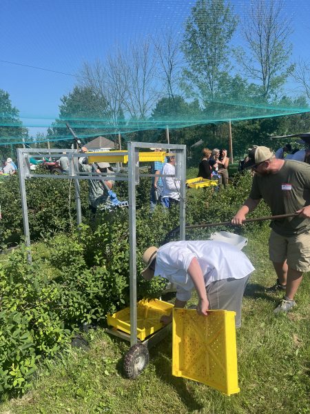 Harvest at Large Orchard Harvest Time at Large Orchard